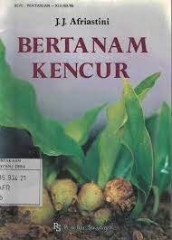 Bertanam Kencur