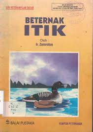 Beternak Itik