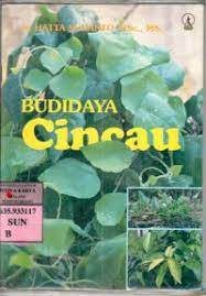 Budidaya Cincau